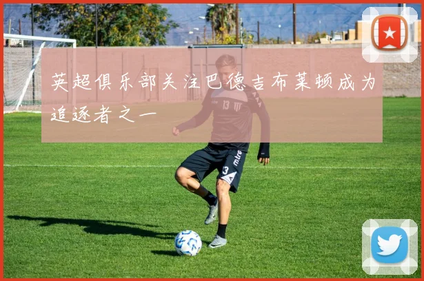 英超俱乐部关注巴德吉布莱顿成为追逐者之一