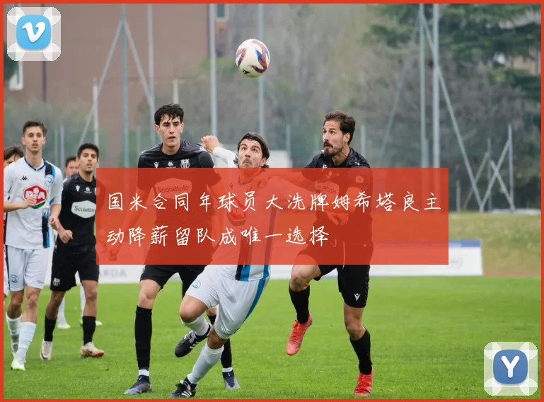 国米合同年球员大洗牌姆希塔良主动降薪留队成唯一选择